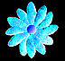 ICQ